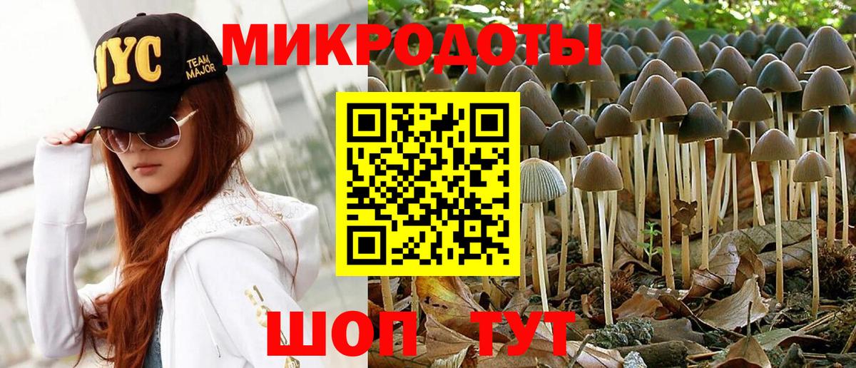 Галлюциногенные грибы Psilocybine cubensis Медногорск